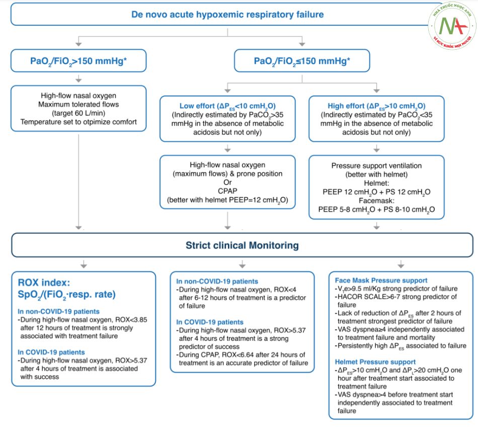 Hình 1 Ví dụ về lược đồ (quan điểm của tác giả) điều trị ban đầu và theo dõi bệnh nhân AHRF