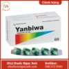 Hộp thuốc Yanbiwa