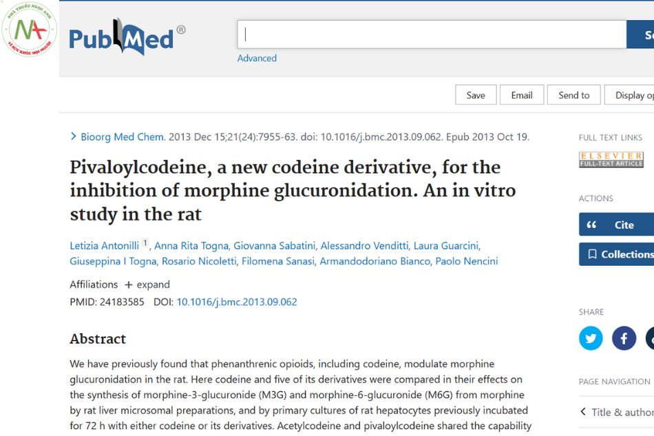Pivaloylcodeine, a new codeine derivative, for the inhibition of morphine glucuronidation. An in vitro study in the rat
