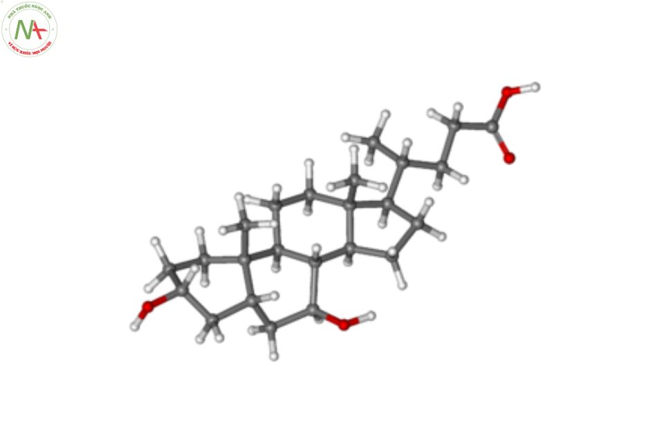 Cấu trúc phân tử Acid Ursodeoxycholic