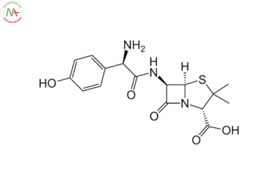 Cấu trúc phân tử Amoxicillin 