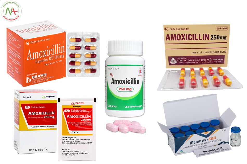 Dạng bào chế Amoxicillin 
