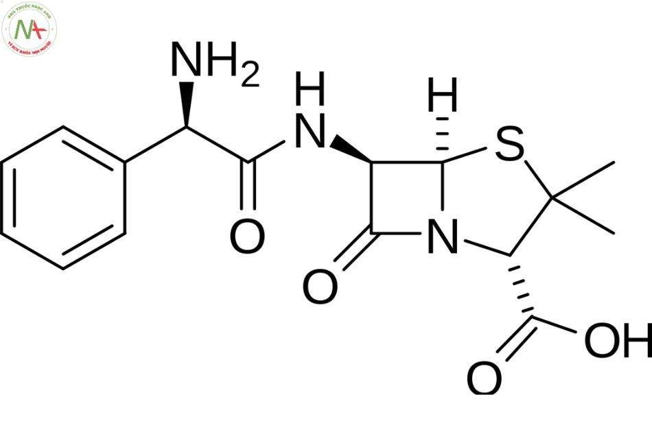 Cấu trúc phân tử Ampicillin 