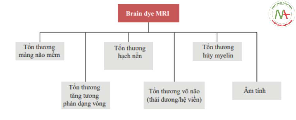 Các kiểu hình tốn thương MRI não trong các bệnh viêm/nhiễm trùng của hệ thần kinh trung ương