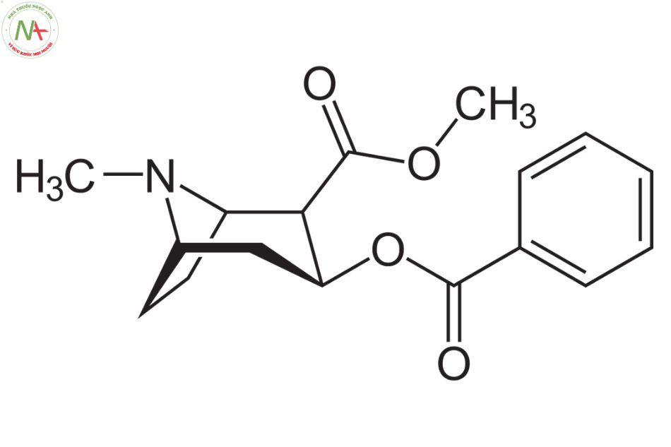 Cấu trúc phân tử Cocaine 