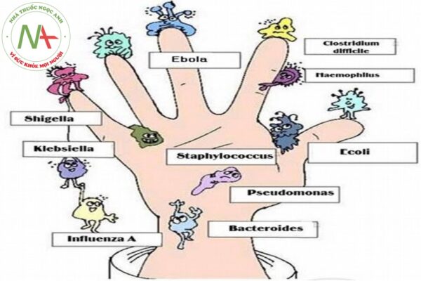 Hướng dẫn phân biệt các bệnh nhiễm khuẩn dựa trên các triệu chứng lâm sàng