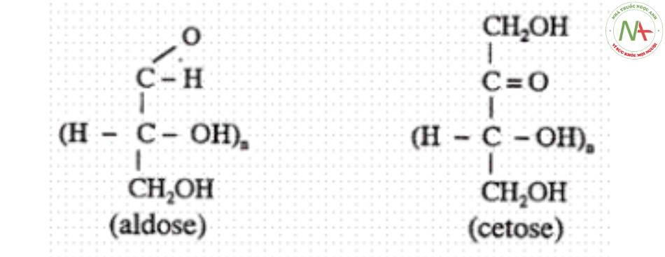 Monosaccharit mang nhóm chức aldehyd có tiếp đầu ngữ là aldo-, còn Monosaccharit mang nhóm chức ceton có tiếp đầu ngữ là ceto-.
