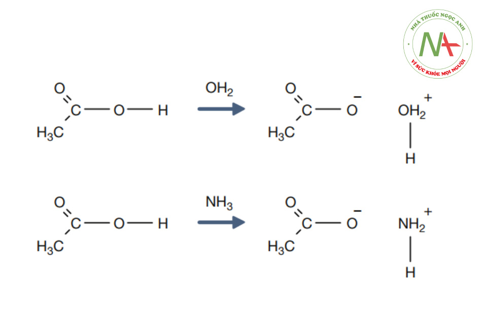 Phản ứng chuyển hóa proton Axit Axetic