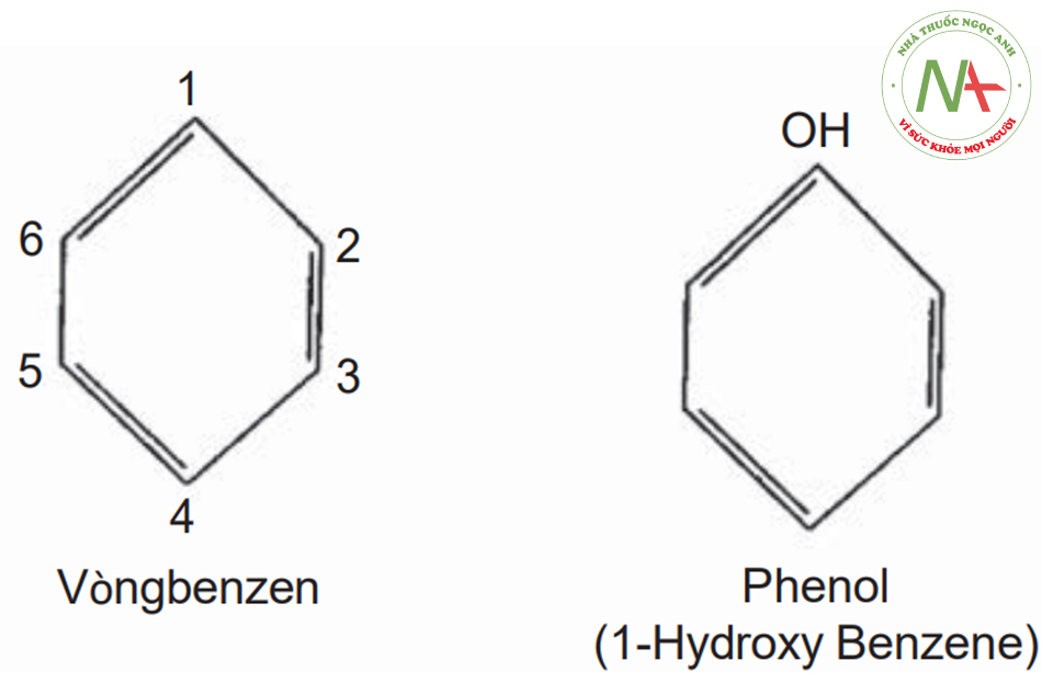 Hình. 8.1 Công thức hóa học của benzen và phenol