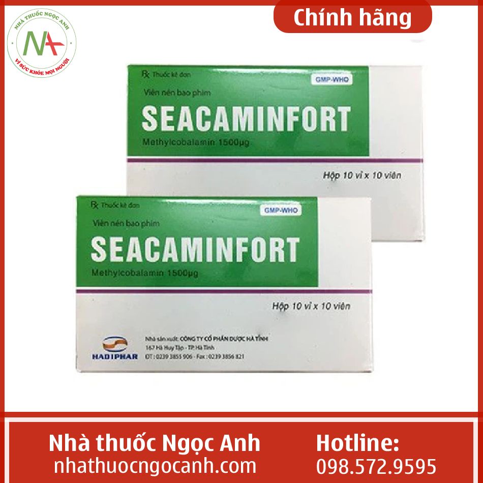 Seacaminfort