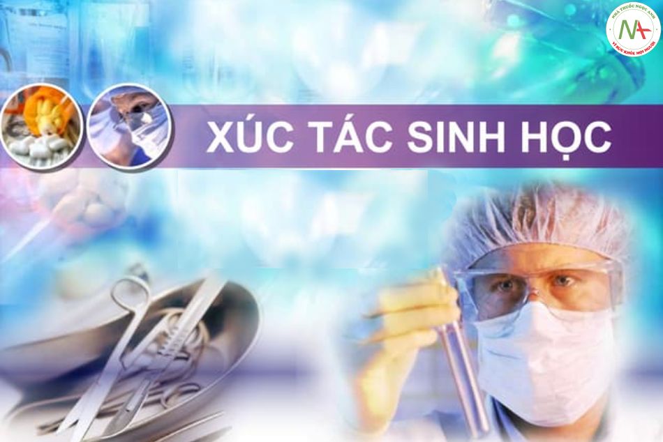 Xúc tác sinh học