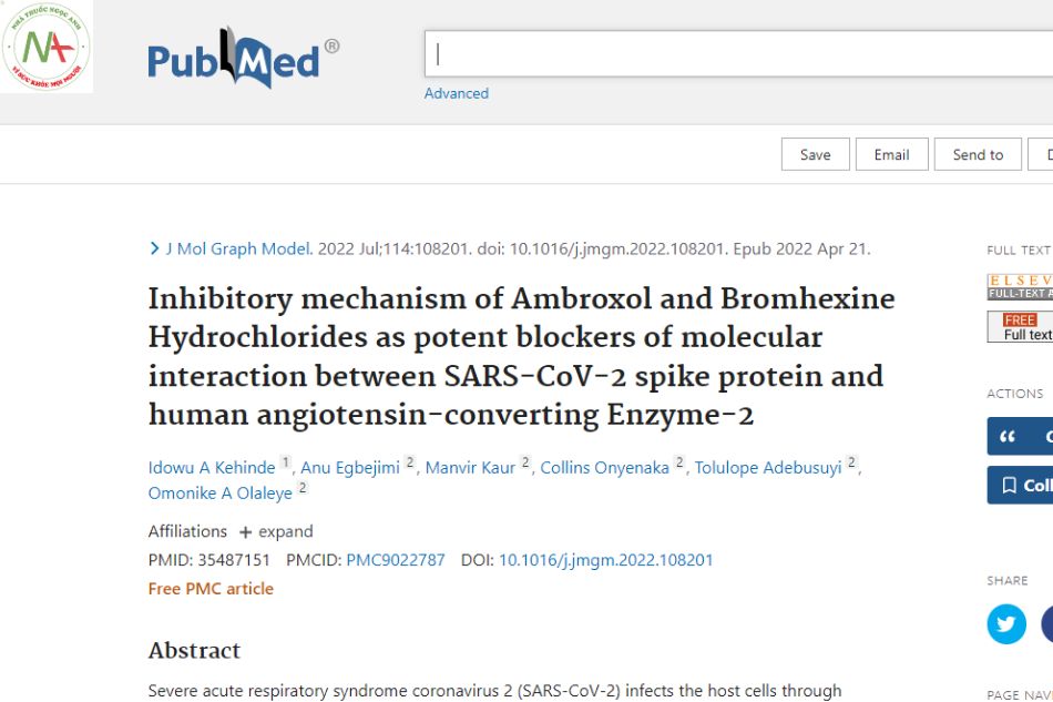 Mechanism of inhibition of Ambroxol and Bromhexine Hydrochloride as potent inhibitors of molecular interactions between SARS-CoV-2 spike protein and human angiotensin-converting enzyme-2