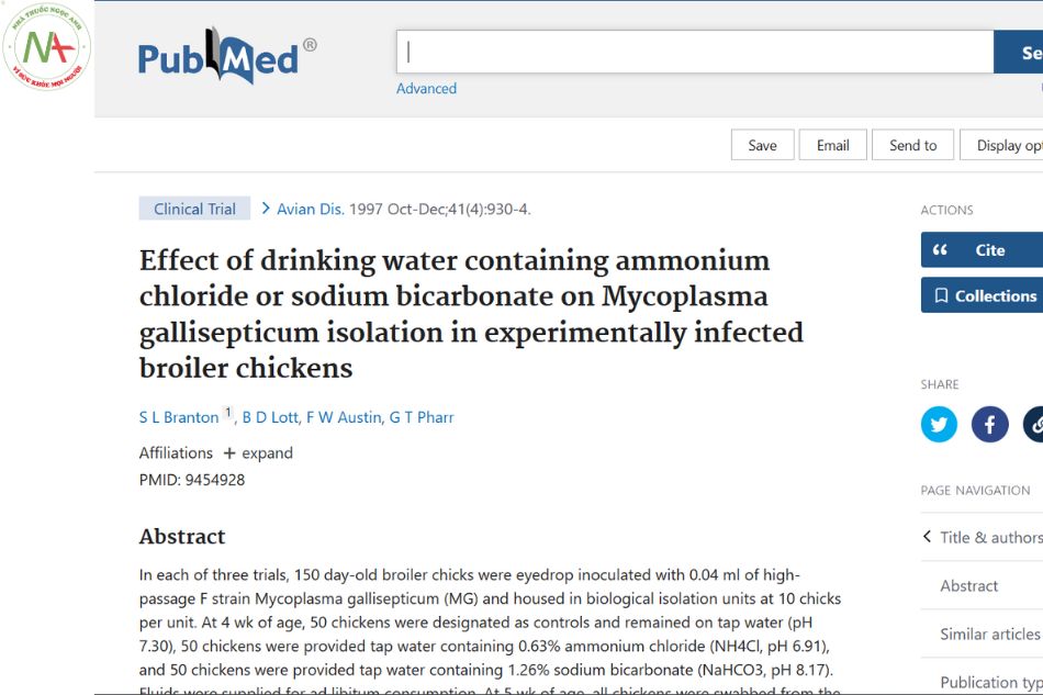 Effect of drinking water containing ammonium chloride or sodium bicarbonate on Mycoplasma gallisepticum isolation in experimentally infected broiler chickens