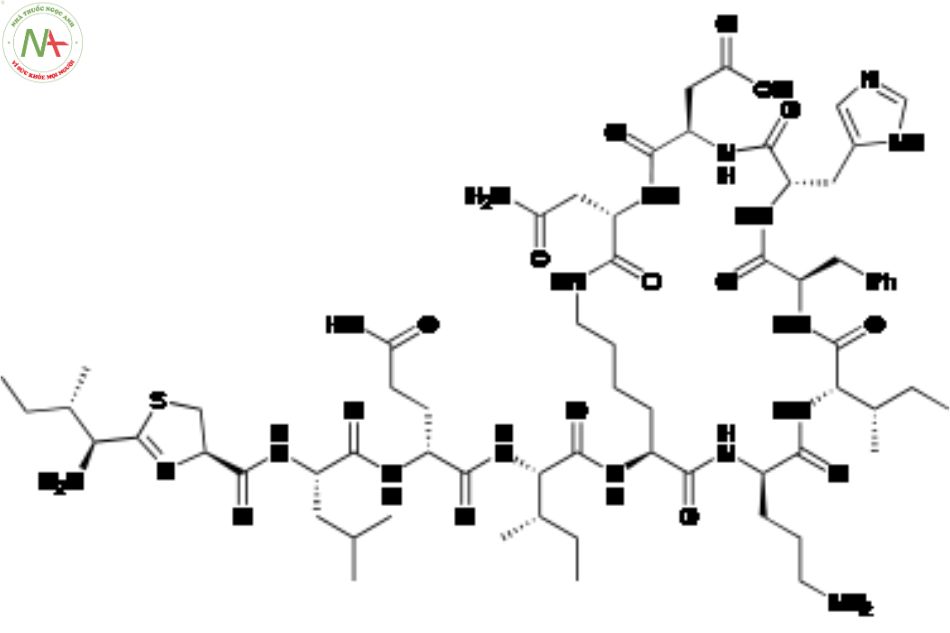 Cấu trúc phân tử Bacitracin 