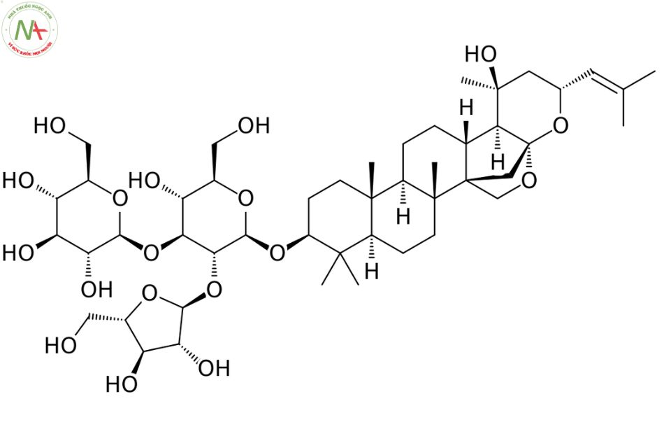Bacosides là các hợp chất hoạt tính chính trong Bacopa monnieri