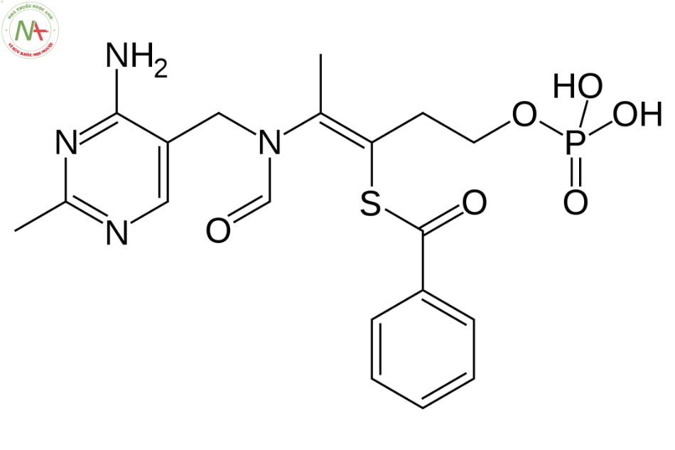 Cấu trúc phân tử Benfotiamine 