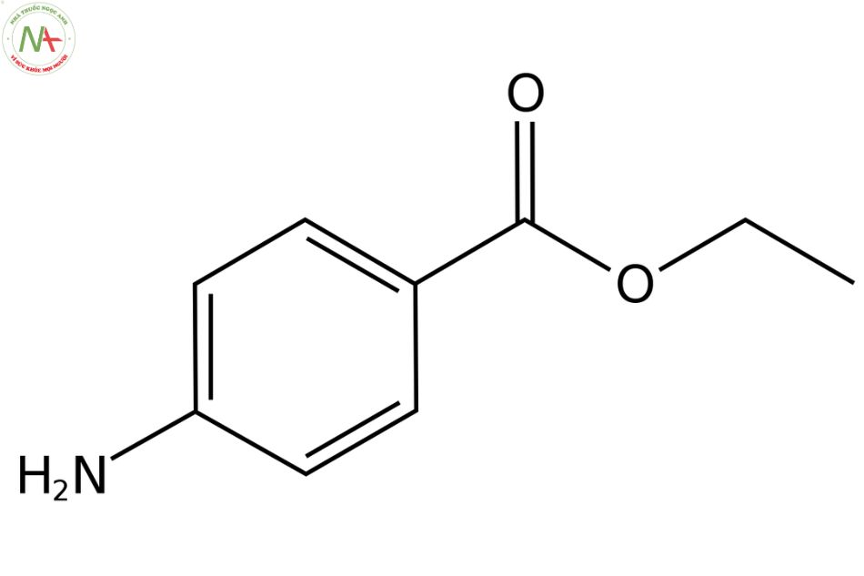 Cấu trúc phân tử Benzocaine