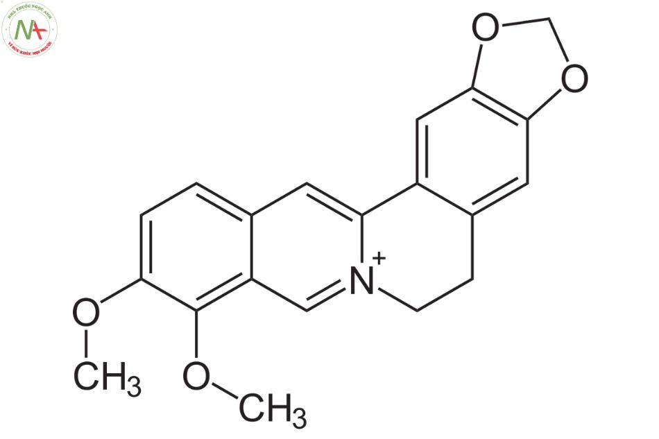 Cấu trúc phân tử Berberine 