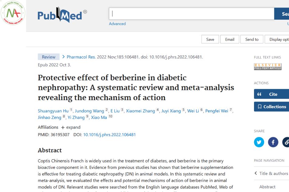 Protective effect of berberine in diabetic nephropathy: A systematic review and meta-analysis revealing the mechanism of action