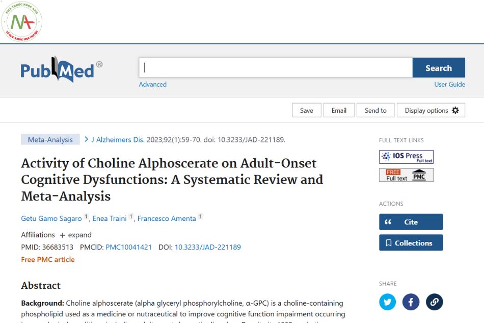 Activity of Choline Alphoscerate on Adult-Onset Cognitive Dysfunctions: A Systematic Review and Meta-Analysis