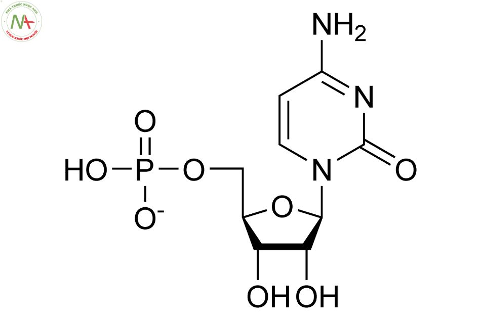 Cấu trúc phân tử Cytidine-5’- monophosphate