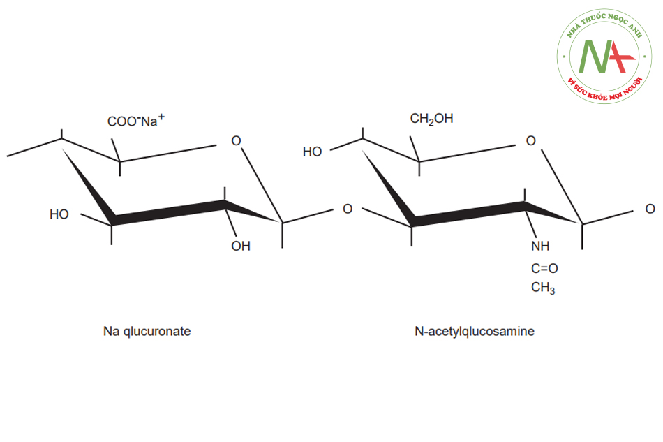 Hình. 2.1 Phân tử axit hyaluronic