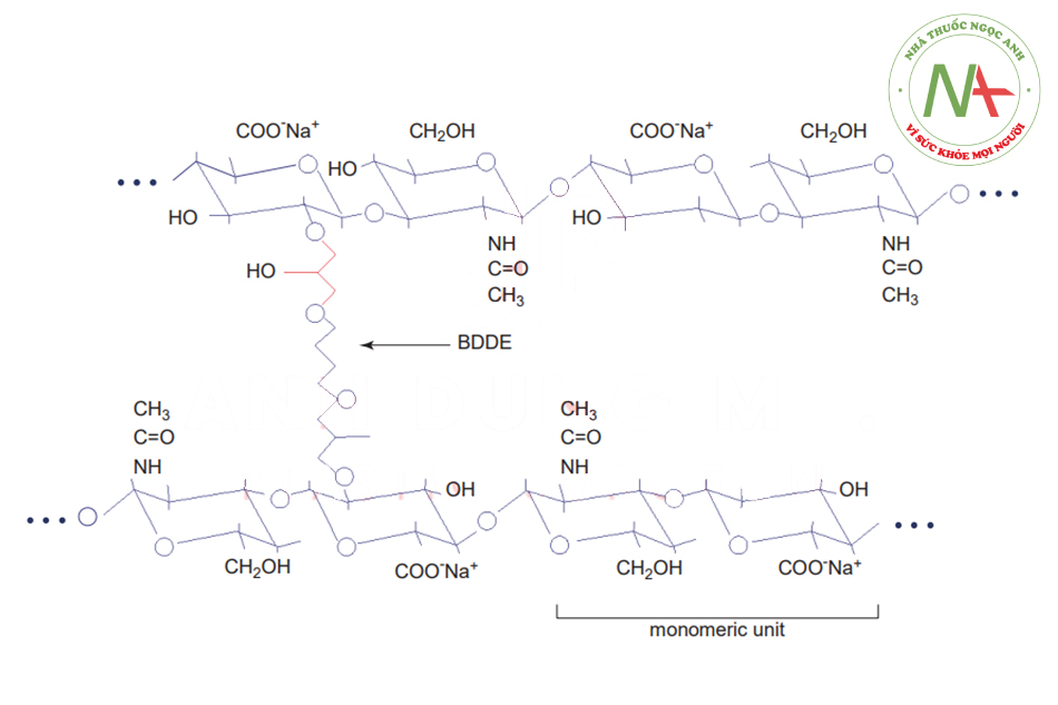 Hình. 2.2 Cấu trúc phân tử của axit hyaluronic acid và chất liên kết