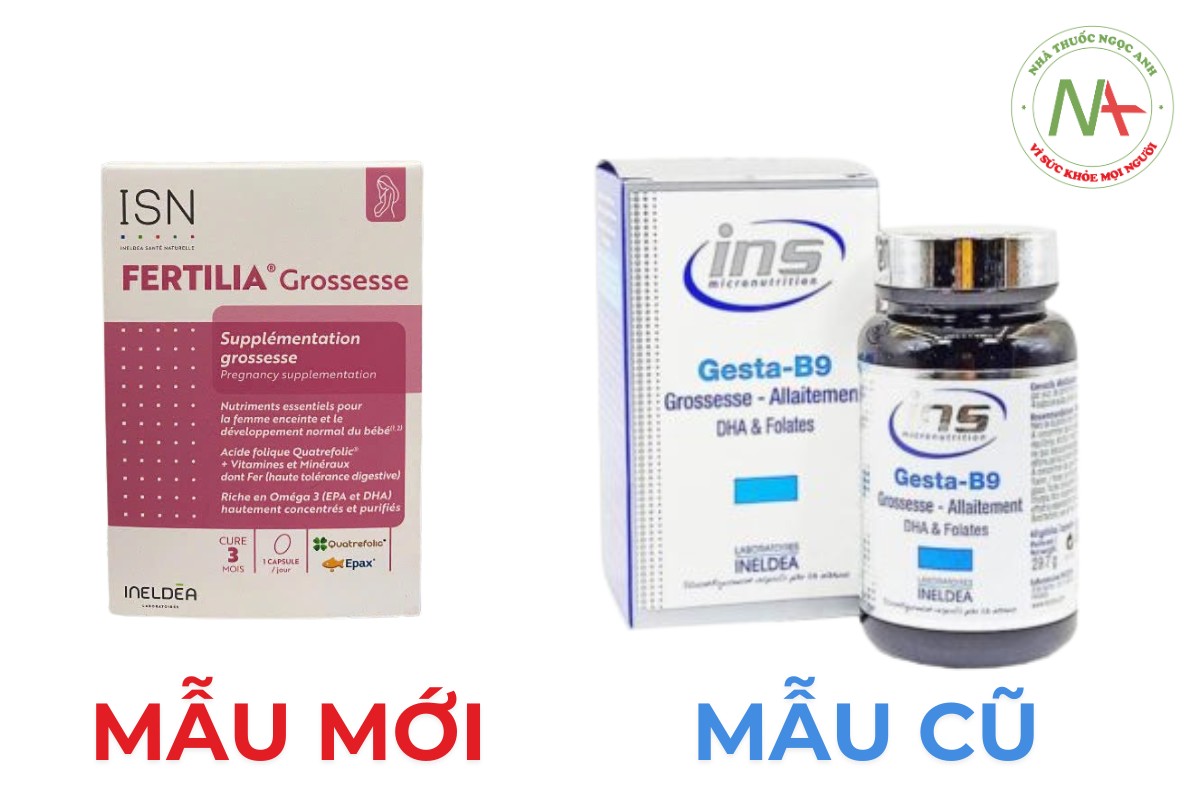 Cập nhật bao bì mới sản phẩm Gesta B9