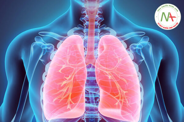 Hệ thống hút nội khí quản mở và đóng ảnh hưởng khác nhau đến chức năng phổi ở các đối tượng được thông khí cơ học