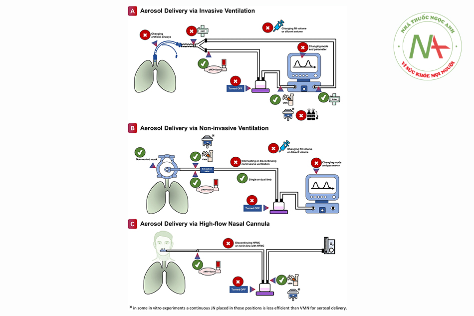 Hình 3 Tóm tắt đồ họa về các khuyến cáo về cung cấp khí dung thông qua thở máy, thở không xâm lấn và ống thông mũi lưu lượng cao.