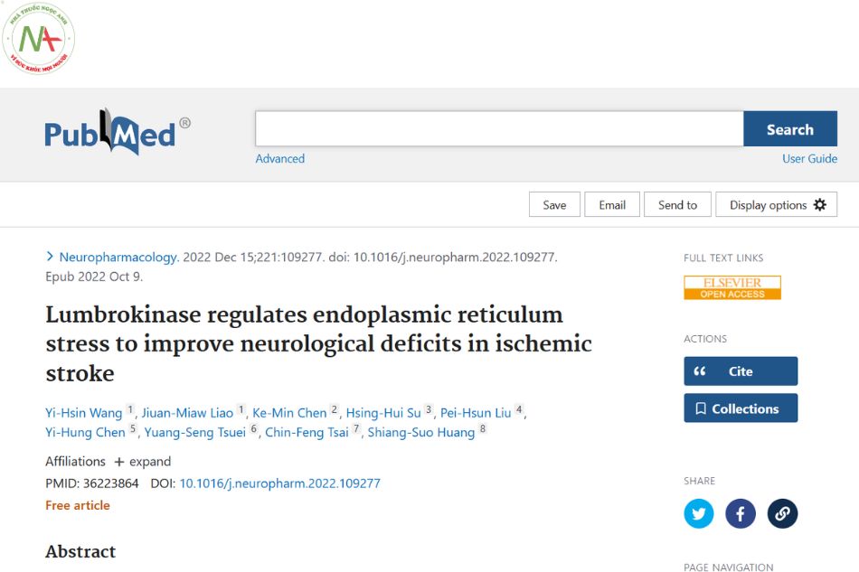 Lumbrokinase regulates endoplasmic reticulum stress to improve neurological deficits in ischemic stroke