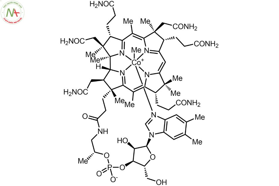 Cấu trúc phân tử Methylcobalamin 