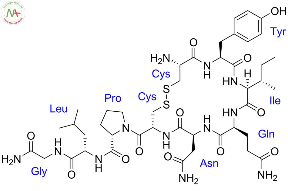 Cấu trúc phân tử Oxytocin 