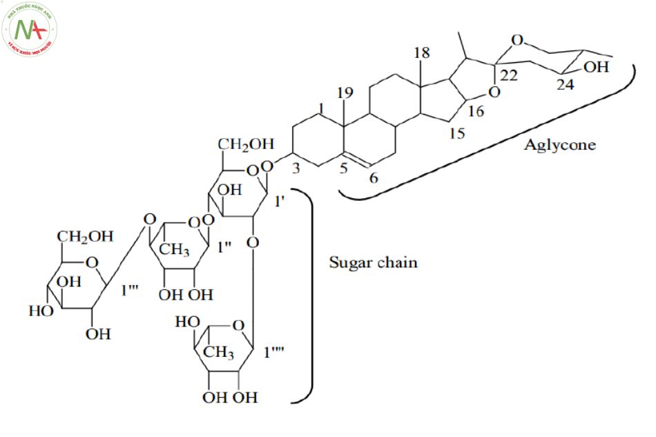 Cấu trúc phân tử Saponin 