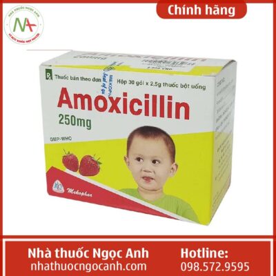 thuoc-amoxicillin-250-mg-mekophar