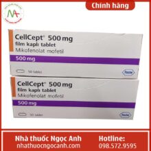 Thuốc Cellcept 500mg có tác dụng gì?