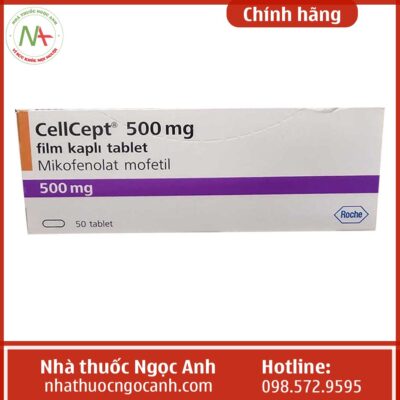 Thuốc Cellcept 500mg có tác dụng gì?