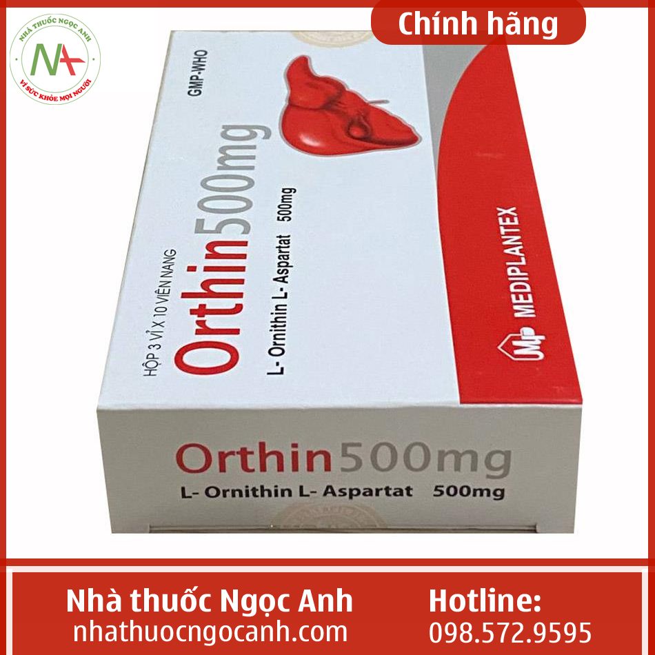 Orthin 500mg là thuốc gì?