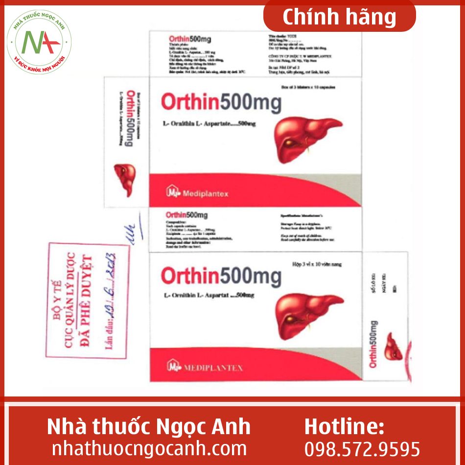 Orthin 500mg là thuốc gì?