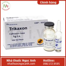 Chỉ định của thuốc Trikaxon 1g i.v.
