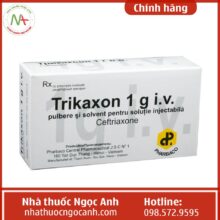 Chỉ định của thuốc Trikaxon 1g i.v.