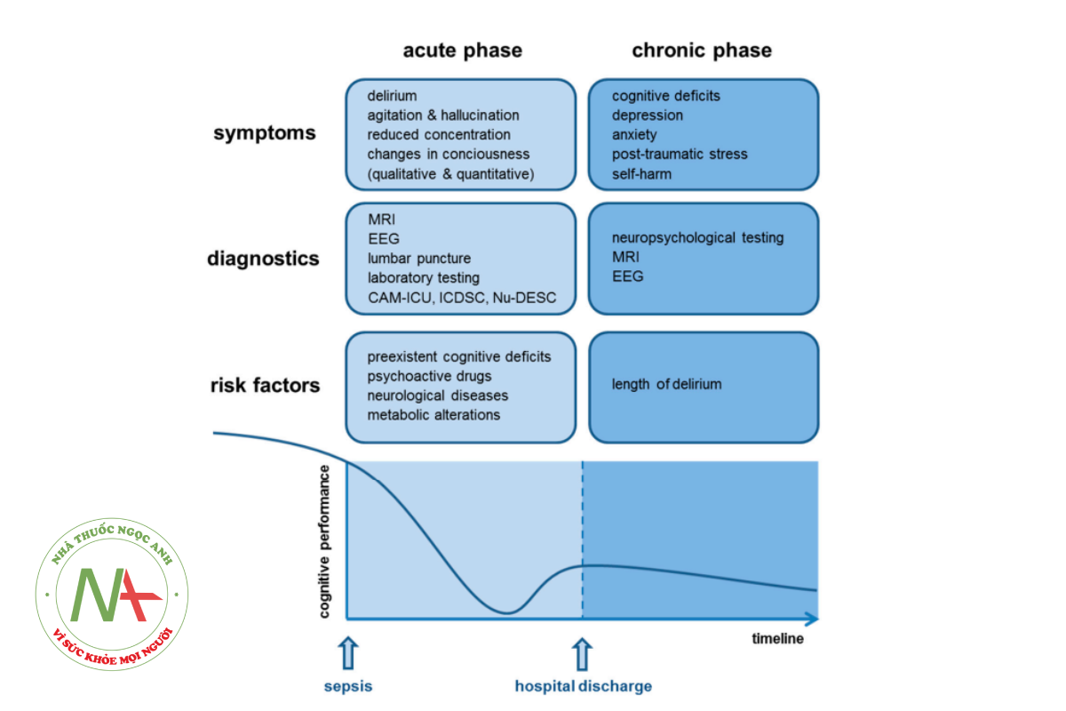Hình 2. Triệu chứng, chẩn đoán, yếu tố nguy cơ và sơ đồ tồng quan về biểu hiện nhận thức trong bệnh não liên quan nhiễm trùng huyết (SAE) cấp và mạn tính