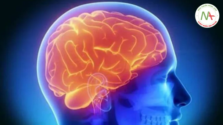 Bệnh não liên quan nhiễm trùng huyết: từ mê sảng đến mất trí nhớ