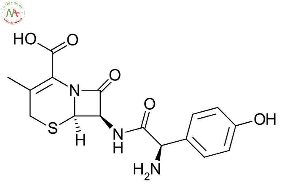 Cấu trúc phân tử Cefadroxil 