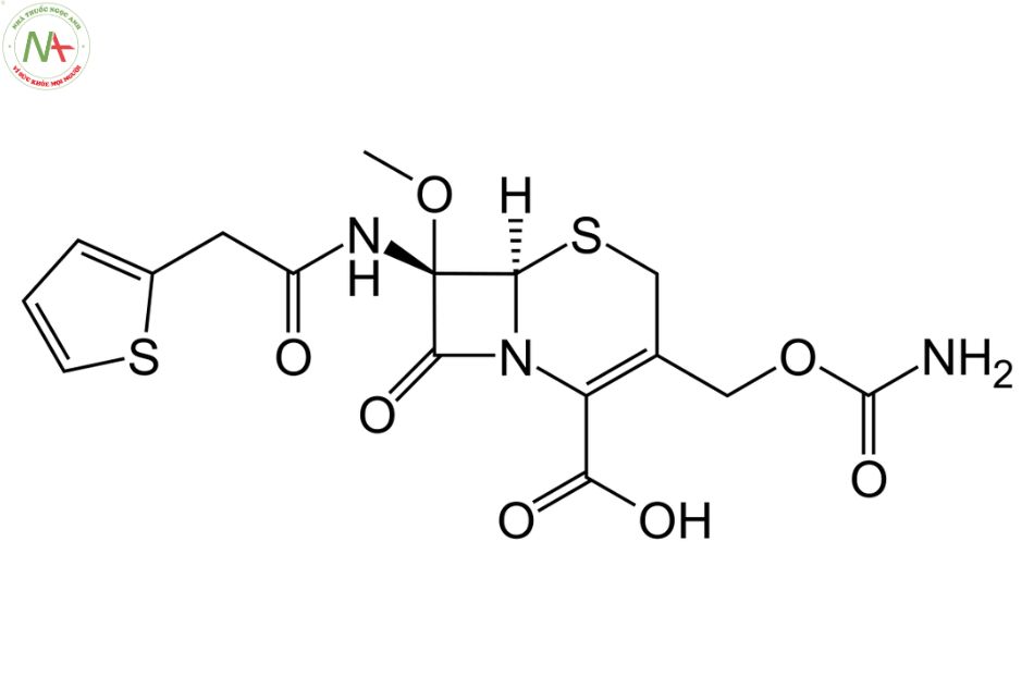 Cấu trúc phân tử Cefoxitin 