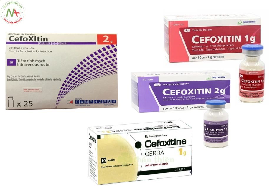 Dạng bào chế Cefoxitin 
