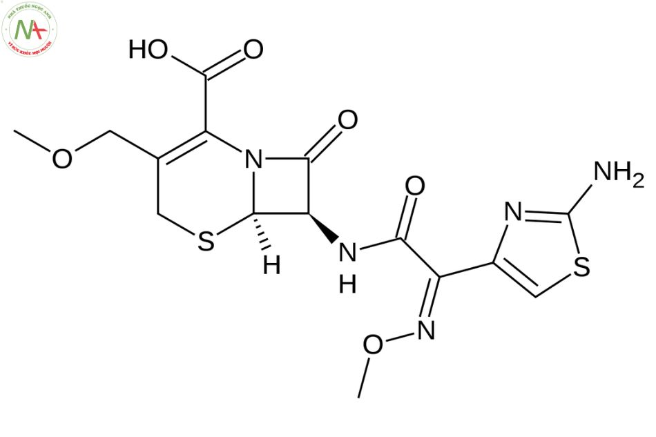 Cấu trúc phân tử Cefpodoxime 