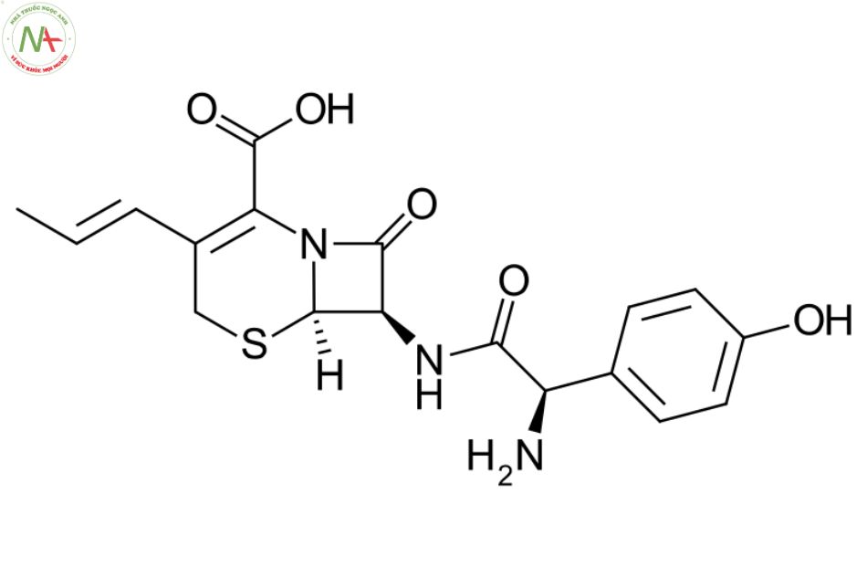 Cấu trúc phân tử Cefprozil 