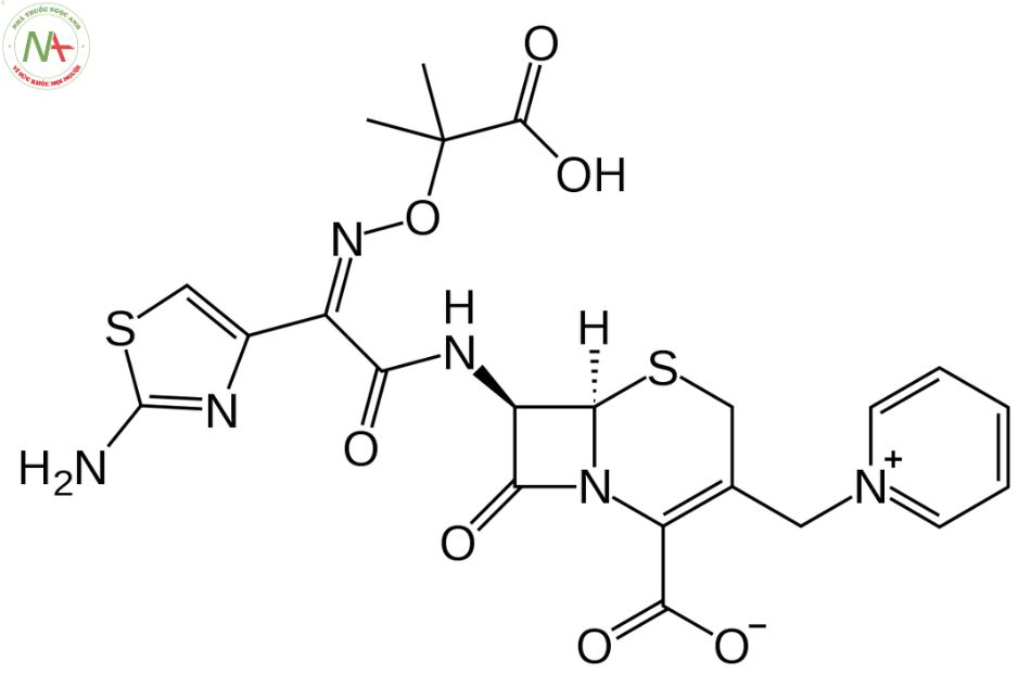 Cấu trúc phân tử Ceftazidim 
