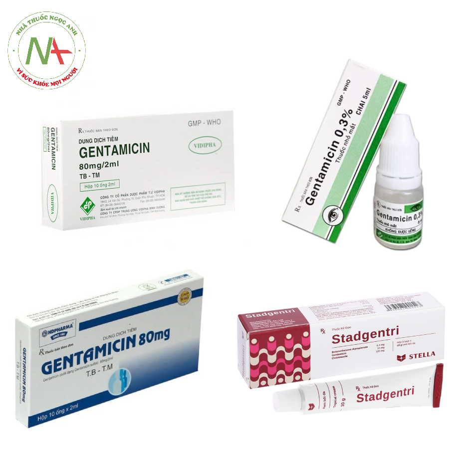 Dạng bào chế Gentamicin
